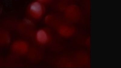 Bellacrespa webcam model stream image
