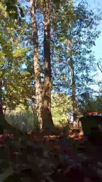 Lickmybottom69 webcam model stream image