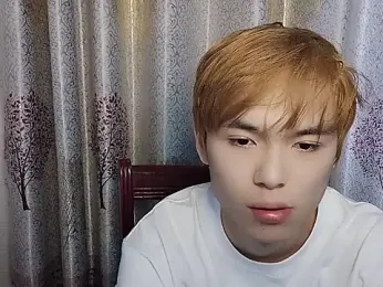 9t88 webcam model stream image