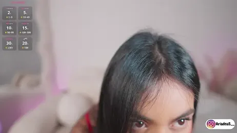 Ariadna5 webcam model stream image