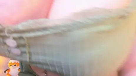 EthalCarlsqq webcam model stream image