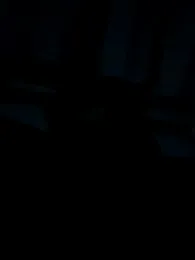 big_cock_is_back webcam model stream image