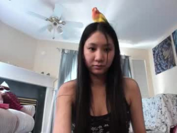 alizezaide webcam model stream image