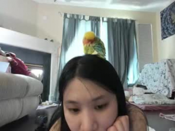 alizezaide webcam model stream image