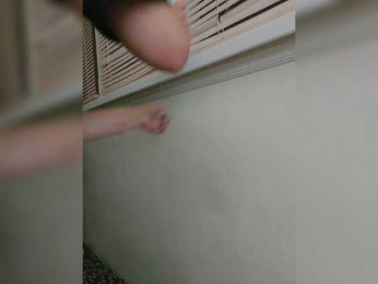 SkyXS webcam model stream image