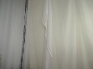 Randi Creedons webcam model stream image