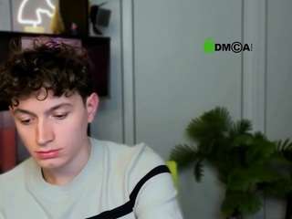 fose-di webcam model stream image