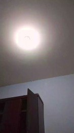 quintero282 webcam model stream image