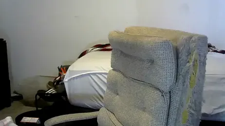 viejo_oso webcam model stream image