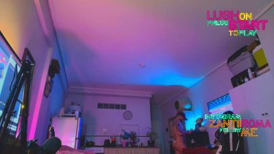 elzrd webcam model stream image