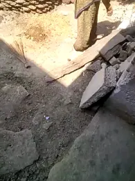 Pretty_bhabhi webcam model stream image