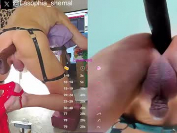 lasophia webcam model stream image