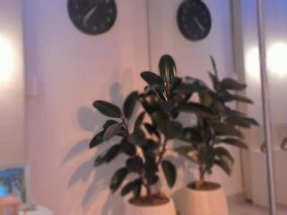 Amely Grey webcam flirt4free model stream image