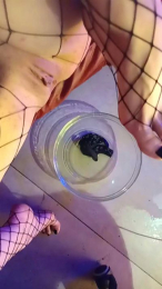 pissriot webcam model stream image