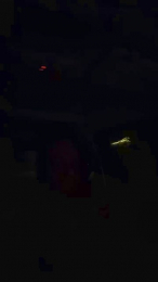immergeil123453 webcam model stream image