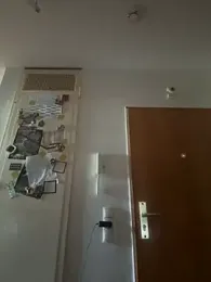 Toyjungee webcam model stream image