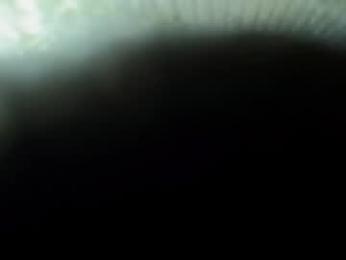 elithcoup_cum webcam model stream image