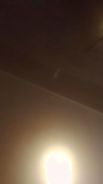 rayotopsvq webcam model stream image