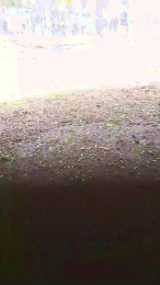 Tania__honey webcam cam4 model stream image