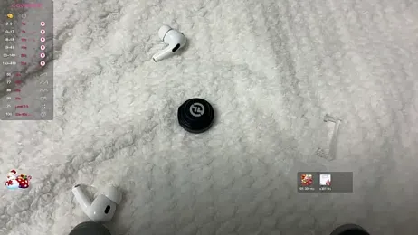 tinykisa webcam model stream image