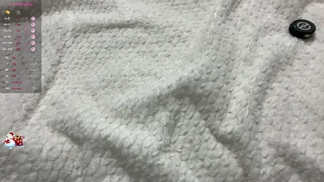 tinykisa webcam model stream image