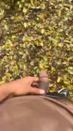 porcobg18 webcam model stream image