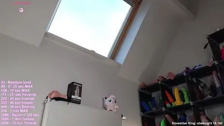 hayleex_x webcam stripchat model stream image