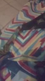 Transputinha83 webcam model stream image