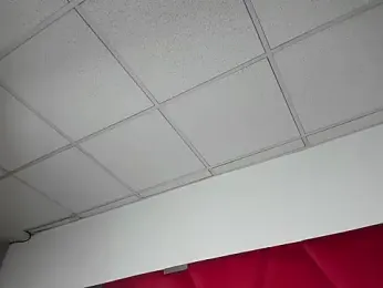 Alicee_Grey webcam stripchat model stream image