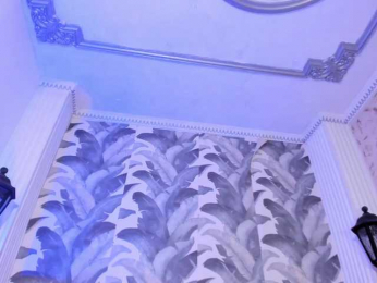 Isa-Lyon webcam model stream image