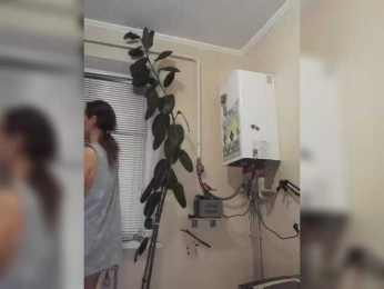 betruetoyourheart webcam model stream image