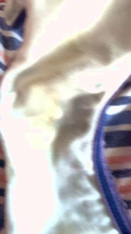 Lamamiota webcam model stream image