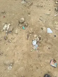 Outdoor_backup webcam model stream image