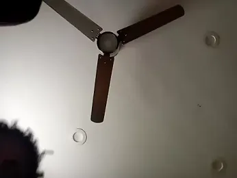 BBC-DICCGOD webcam model stream image