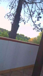 1908cristian webcam model stream image