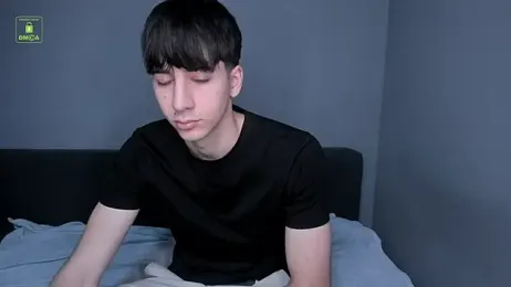 Quentin_Blake webcam model stream image