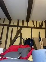 Toto-pika webcam model stream image