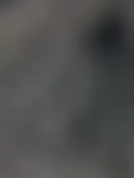 DominickSullivan webcam model stream image
