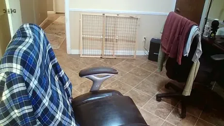 superbearboss webcam model stream image