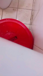 Pollon2jjj52 webcam model stream image