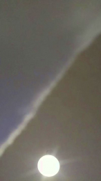 Lu2929 webcam model stream image