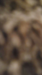 Duro0784 webcam model stream image