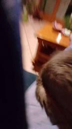 teddy2008 webcam model stream image