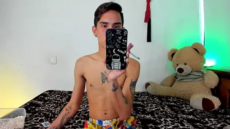 Alexmillers webcam model stream image