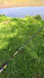 Tommy9200 webcam model stream image