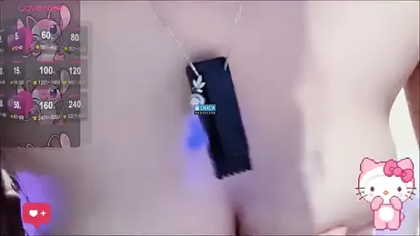 fog- webcam model stream image