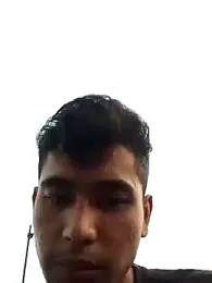 amanWildstalion webcam model stream image