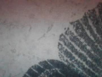 secret18slaveanon webcam model stream image