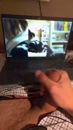 Diegarcho webcam model stream image