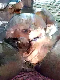 poloplayer123 webcam stripchat model stream image